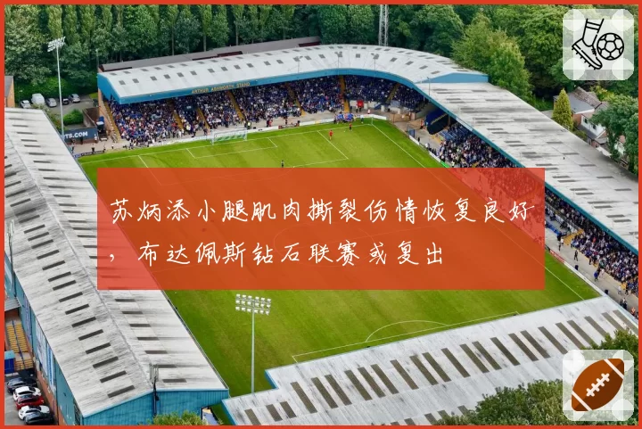 苏炳添小腿肌肉撕裂伤情恢复良好，布达佩斯钻石联赛或复出