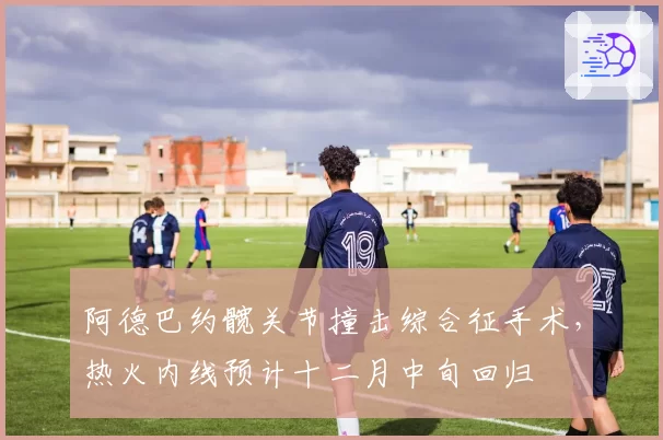 阿德巴约髋关节撞击综合征手术，热火内线预计十二月中旬回归